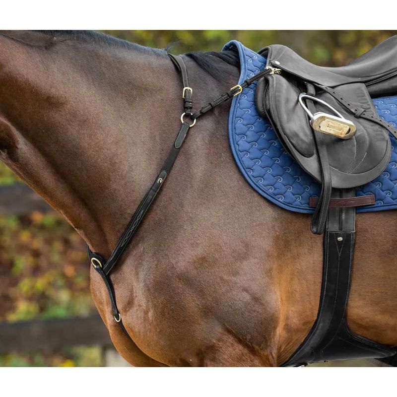 Peitoral de cavallo Bridge D-Collection - Mercado de Luxo - O Maior E-Commerce de Bens, Produtos e Serviços de Luxo do Brasil.