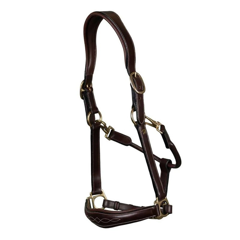 Cabrestro D-Collection Leather - Mercado de Luxo - O Maior E-Commerce de Bens, Produtos e Serviços de Luxo do Brasil.