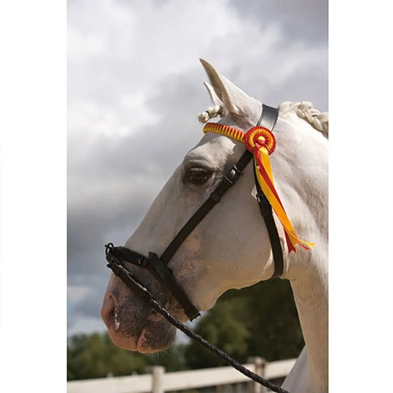 Cabeçada Leather Show Caveson Iron - Mercado de Luxo - O Maior E-Commerce de Bens, Produtos e Serviços de Luxo do Brasil.