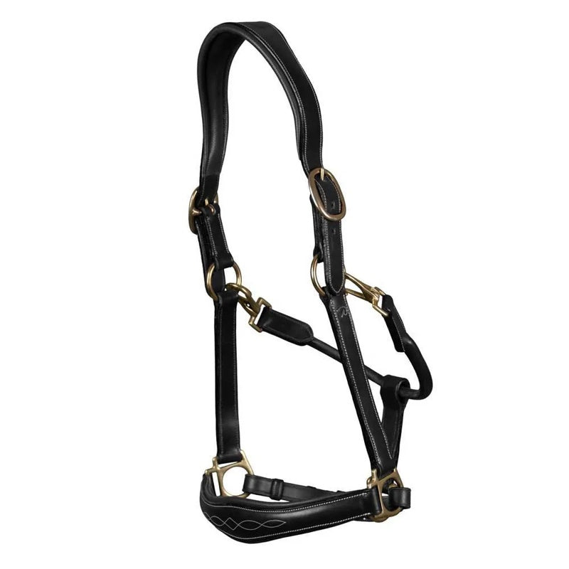 Cabrestro D-Collection Leather - Mercado de Luxo - O Maior E-Commerce de Bens, Produtos e Serviços de Luxo do Brasil.