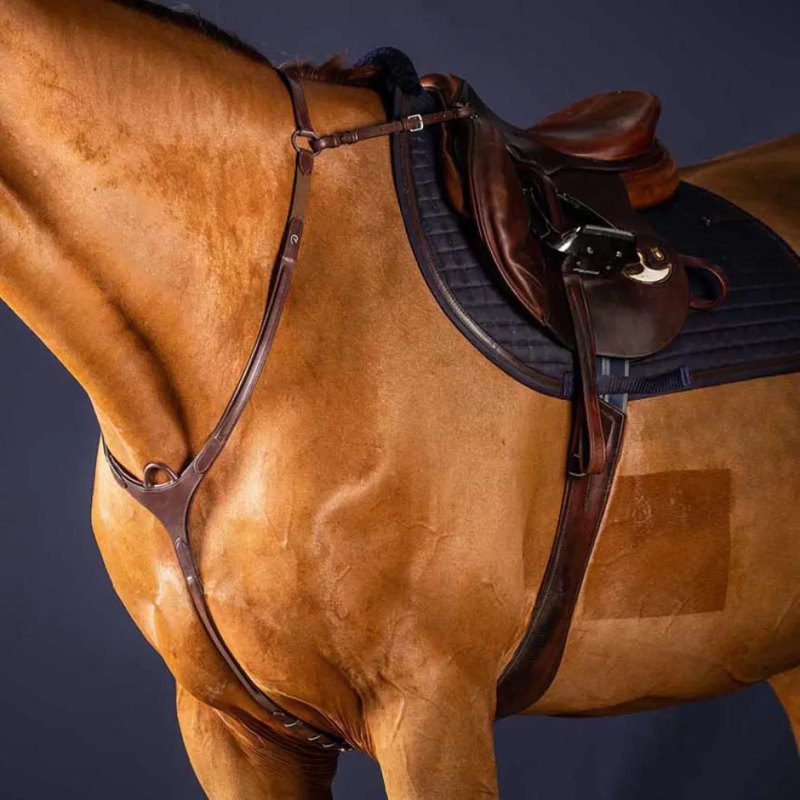 Peitoral de cavallo New English Collection bridge - Mercado de Luxo - O Maior E-Commerce de Bens, Produtos e Serviços de Luxo do Brasil.