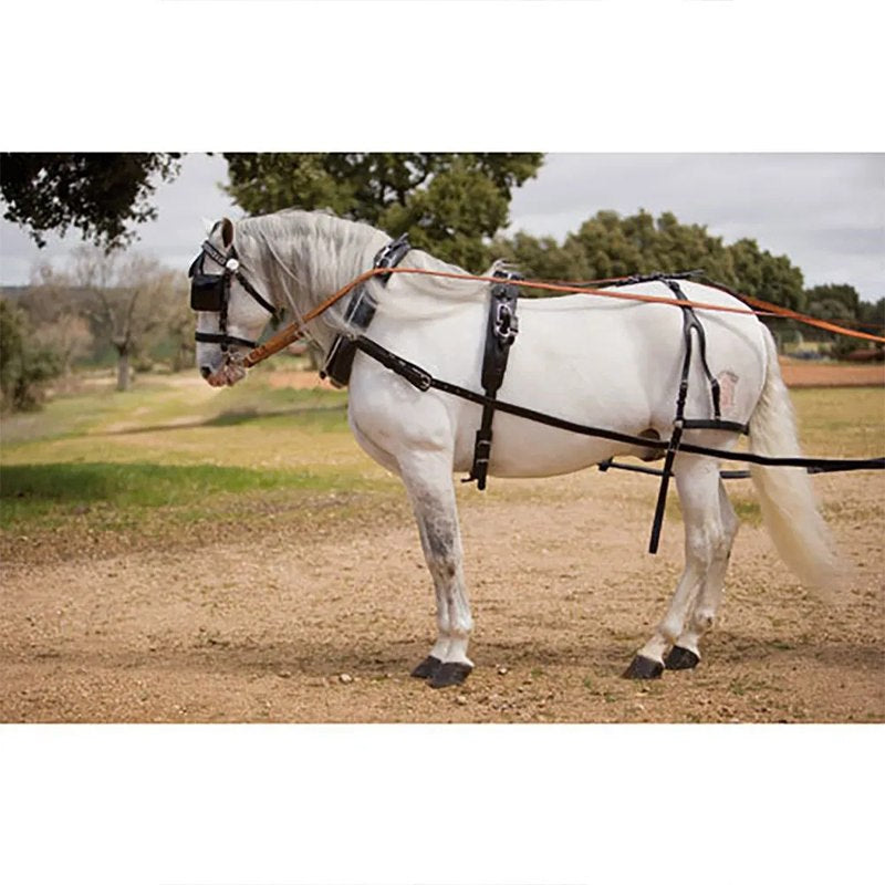 hipica Cabeçada Keiffer Racing Simple - Mercado de Luxo - O Maior E-Commerce de Bens, Produtos e Serviços de Luxo do Brasil.