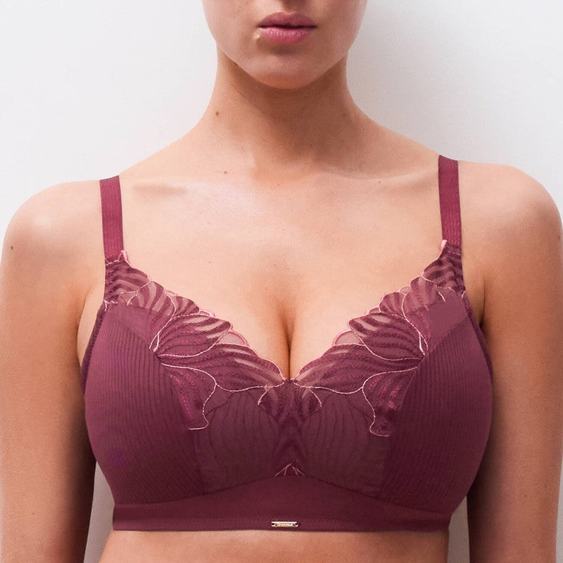 Sutiã bralette acolchoado Legend SienneGoyave