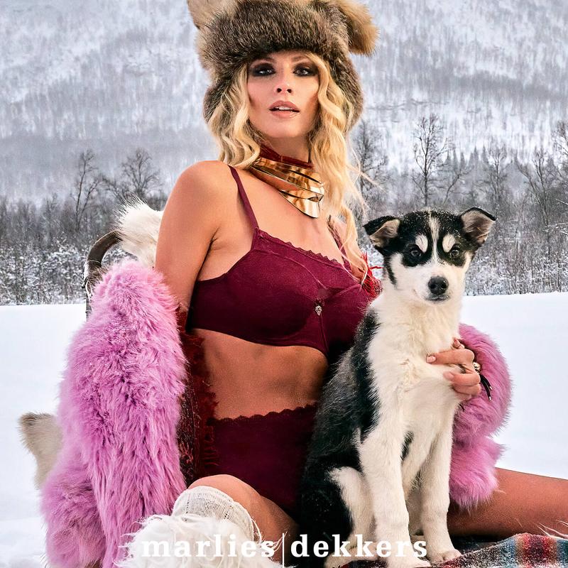 Sutiã Balconette com bojo Carita Cabernet Red Lace