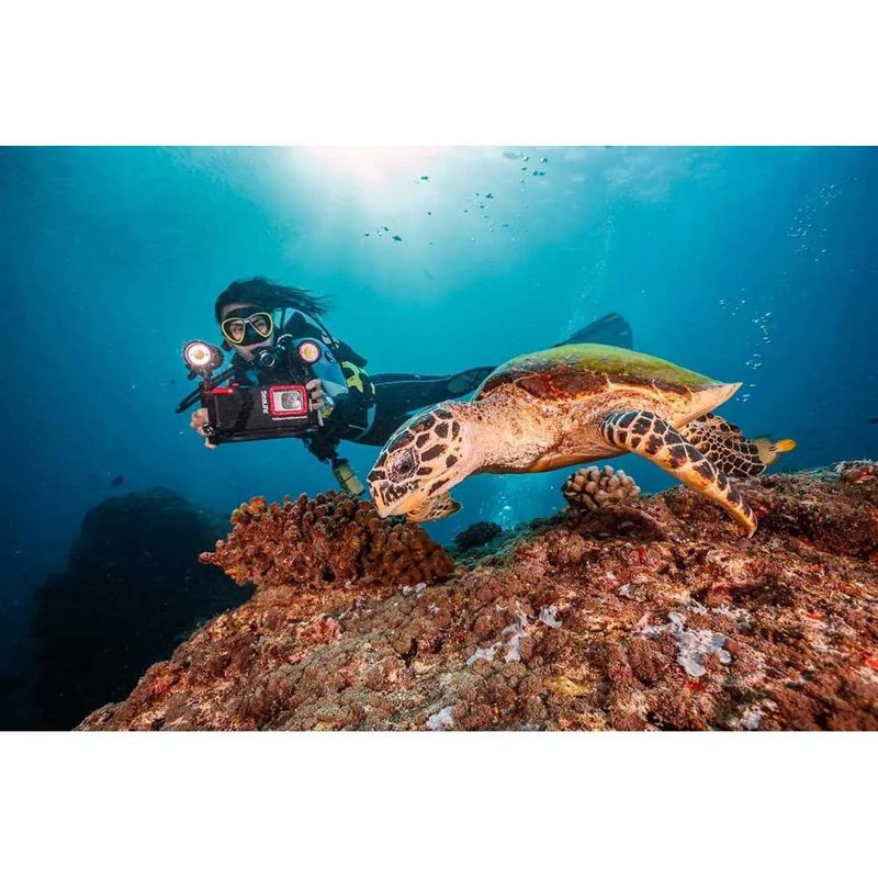 Lanterna Duo Sea Dragon 10K Color Boost - Mercado de Luxo - O Maior E-Commerce de Bens, Produtos e Serviços de Luxo do Brasil.