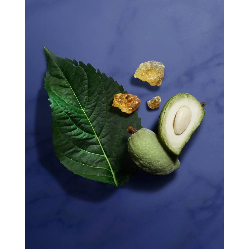 Perfume Armani/Prive Indigo Tanzanite 100ml Eau De Parfum - Mercado de Luxo - O Maior E-Commerce de Bens, Produtos e Serviços de Luxo do Brasil.