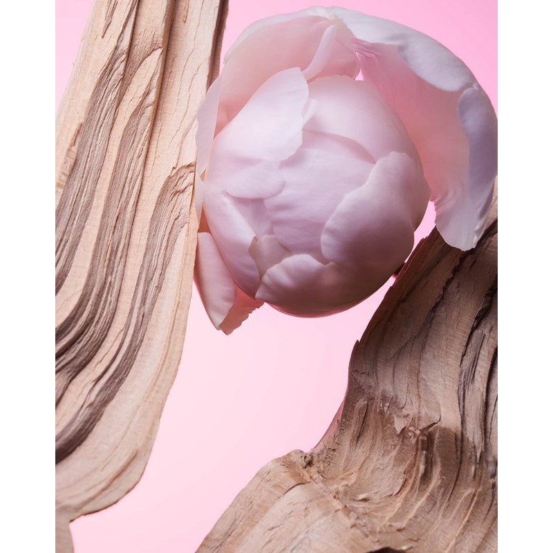 Perfume Allegra Insieme 100ml Eau De Parfum - Mercado de Luxo - O Maior E-Commerce de Bens, Produtos e Serviços de Luxo do Brasil.