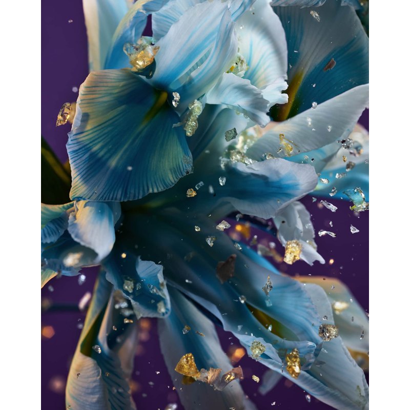 Perfume Allegra Spettacolore 100ml Eau De Parfum - Mercado de Luxo - O Maior E-Commerce de Bens, Produtos e Serviços de Luxo do Brasil.