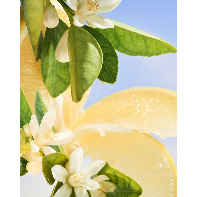 Perfume Riva Solare 100ml Eau De Parfum - Mercado de Luxo - O Maior E-Commerce de Bens, Produtos e Serviços de Luxo do Brasil.