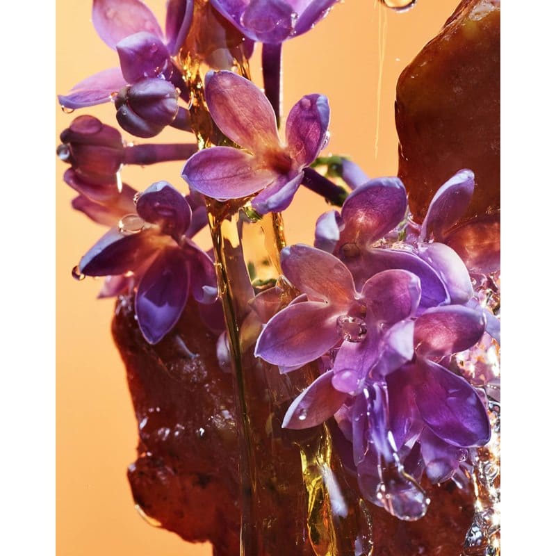 Perfume Rock 'n' Rome 100ml Eau De Parfum - Mercado de Luxo - O Maior E-Commerce de Bens, Produtos e Serviços de Luxo do Brasil.