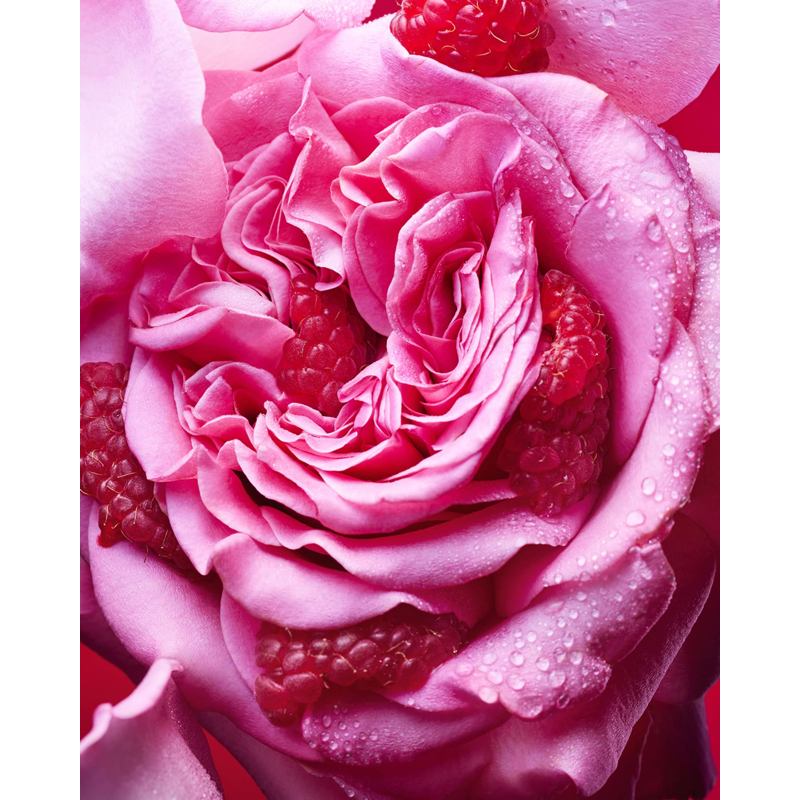 Perfume Allegra Fiori d'Amore 100ml Eau De Parfum - Mercado de Luxo - O Maior E-Commerce de Bens, Produtos e Serviços de Luxo do Brasil.