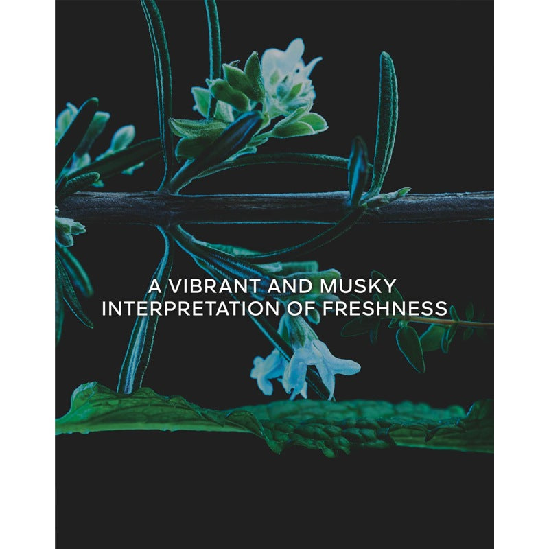 Perfume L'Art & La Matiere Herbes Troublantes 100ml Eau De Parfum - Mercado de Luxo - O Maior E-Commerce de Bens, Produtos e Serviços de Luxo do Brasil.
