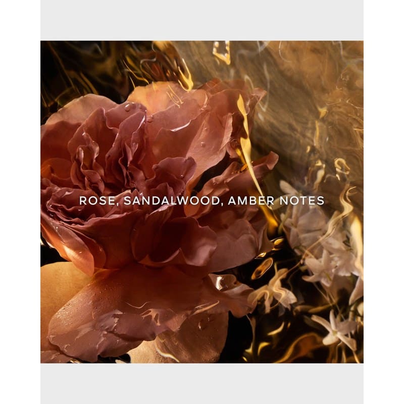Perfume Absolus Allegoria Santal Royal 120ml Eau De Parfum - Mercado de Luxo - O Maior E-Commerce de Bens, Produtos e Serviços de Luxo do Brasil.