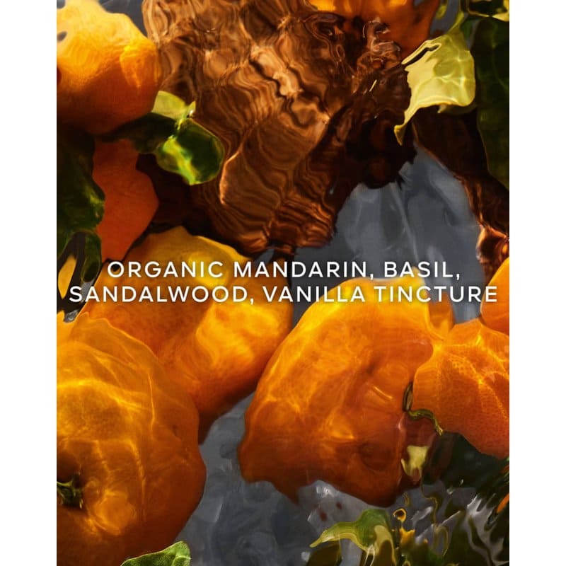 Perfume Aqua Allegoria Mandarine Basilic Refill 200ml Eau De Parfum - Mercado de Luxo - O Maior E-Commerce de Bens, Produtos e Serviços de Luxo do Brasil.