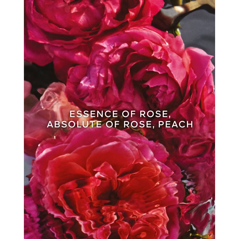 Perfume Aqua Allegoria Rosa Rossa Rose Forte 200ml Eau De Parfum - Mercado de Luxo - O Maior E-Commerce de Bens, Produtos e Serviços de Luxo do Brasil.