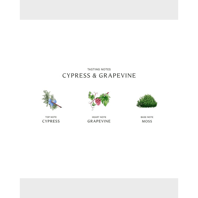 Perfume Cypress and Grapevine Cologne Intense 100ml Eau de Cologne - Mercado de Luxo - O Maior E-Commerce de Bens, Produtos e Serviços de Luxo do Brasil.