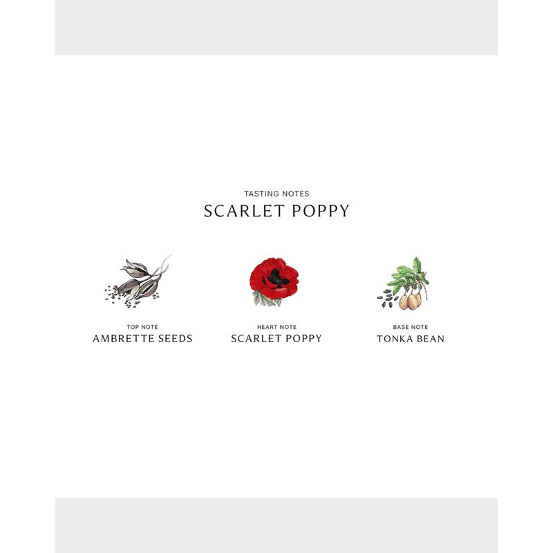 Perfume Scarlet Poppy Cologne Intense 100ml Eau de Cologne - Mercado de Luxo - O Maior E-Commerce de Bens, Produtos e Serviços de Luxo do Brasil.