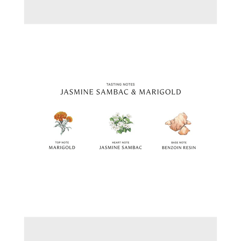 Perfume Jasmine Sambac and Marigold Cologne Intense 100ml Eau de Cologne - Mercado de Luxo - O Maior E-Commerce de Bens, Produtos e Serviços de Luxo do Brasil.