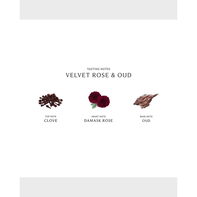 Perfume Velvet Rose and Oud Cologne Intense 100ml Eau de Cologne - Mercado de Luxo - O Maior E-Commerce de Bens, Produtos e Serviços de Luxo do Brasil.