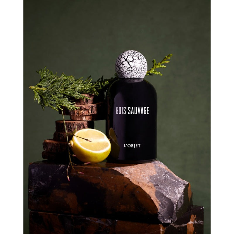 Perfume Bois Sauvage 100ml Eau De Parfum - Mercado de Luxo - O Maior E-Commerce de Bens, Produtos e Serviços de Luxo do Brasil.