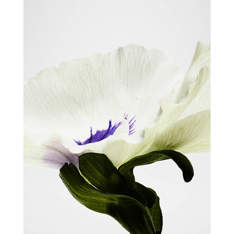 Perfume Agua Drop 100ml Eau De Parfum - Mercado de Luxo - O Maior E-Commerce de Bens, Produtos e Serviços de Luxo do Brasil.