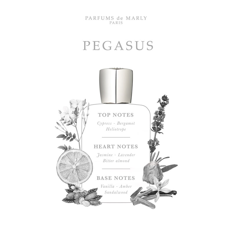 Perfume Pegasus 120ml Eau De Parfum - Mercado de Luxo - O Maior E-Commerce de Bens, Produtos e Serviços de Luxo do Brasil.