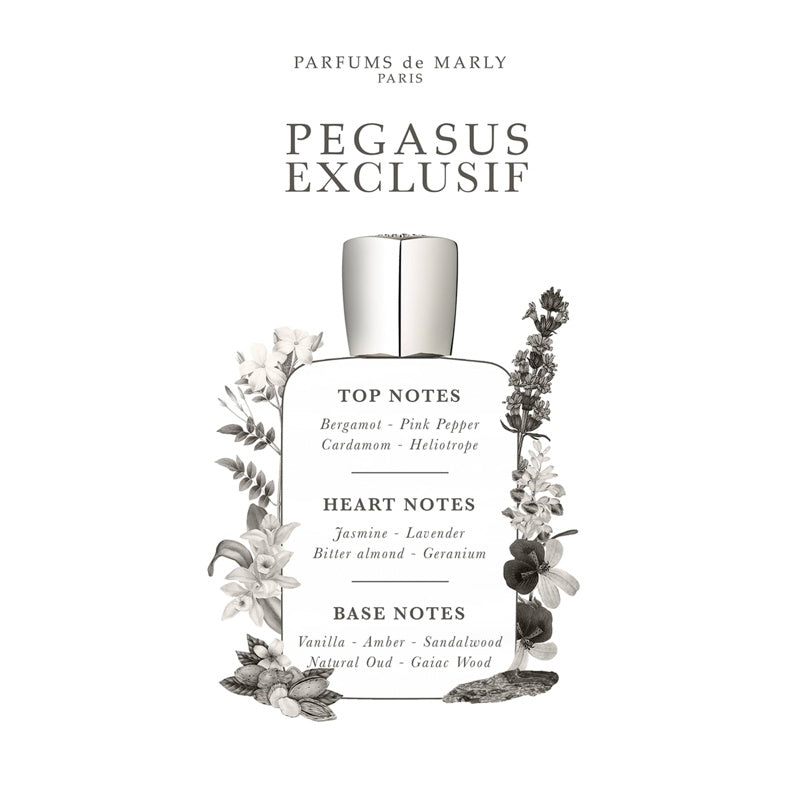 Perfume Pegasus Exclusif 120ml Extrait "Pure" Parfum - Mercado de Luxo - O Maior E-Commerce de Bens, Produtos e Serviços de Luxo do Brasil.
