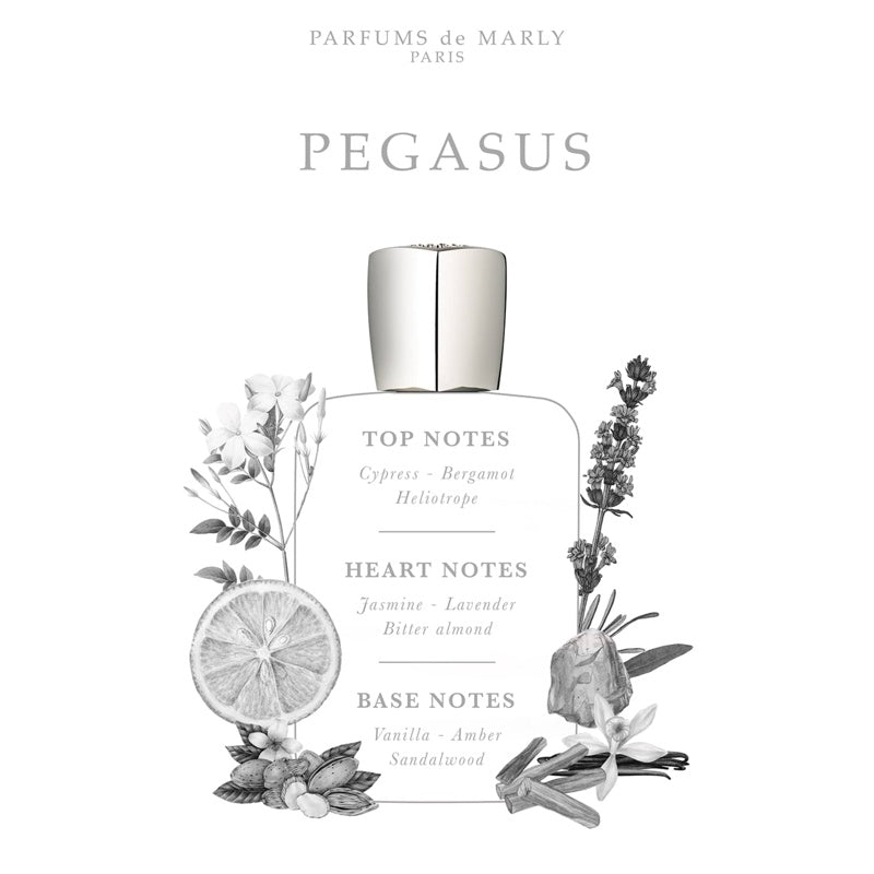 Perfume Pegasus 200ml Eau De Parfum - Mercado de Luxo - O Maior E-Commerce de Bens, Produtos e Serviços de Luxo do Brasil.
