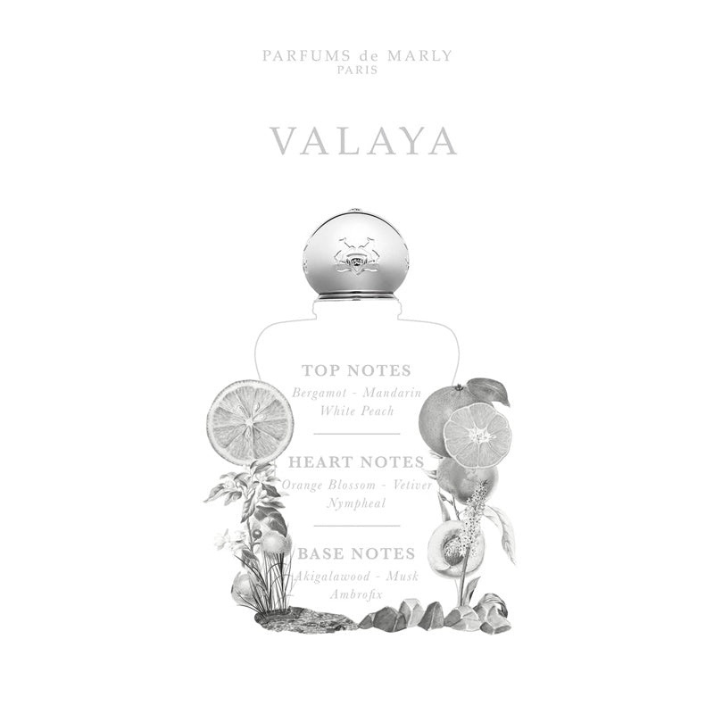 Perfume Valaya 30ml Eau De Parfum - Mercado de Luxo - O Maior E-Commerce de Bens, Produtos e Serviços de Luxo do Brasil.