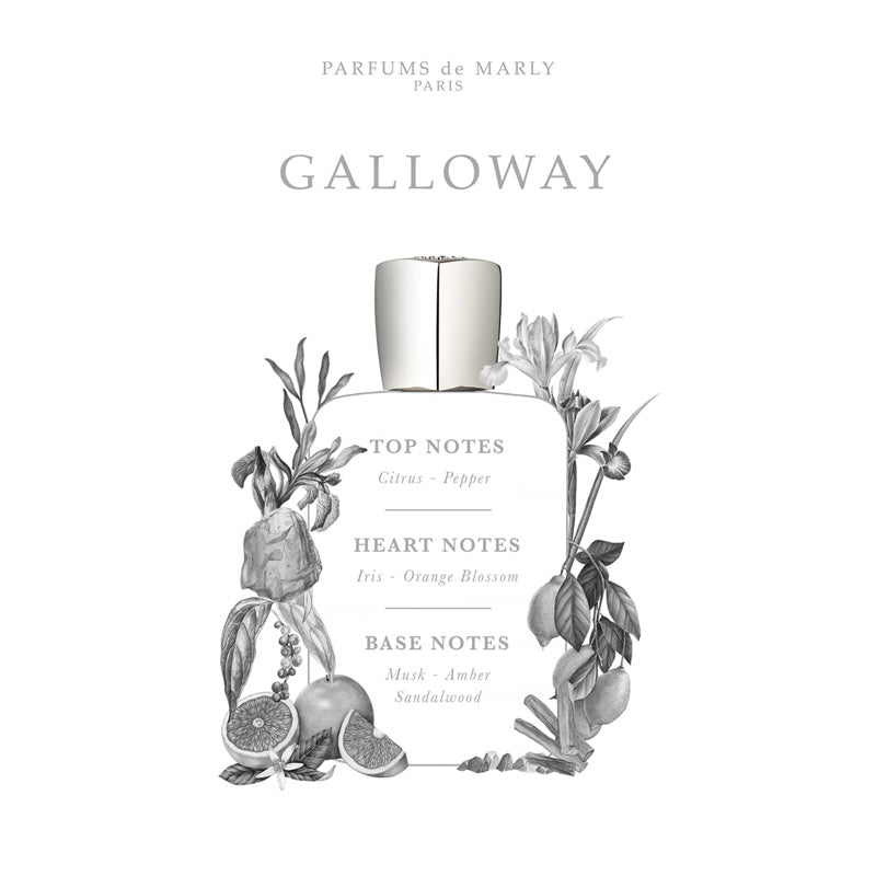 Perfume Galloway 75ml Eau De Parfum - Mercado de Luxo - O Maior E-Commerce de Bens, Produtos e Serviços de Luxo do Brasil.