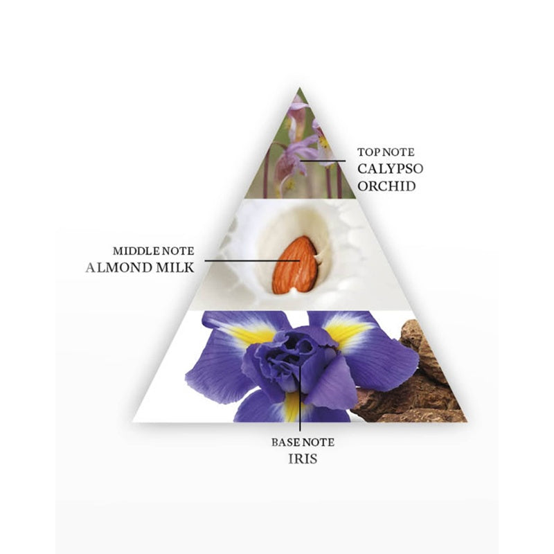 Perfume Yin Transformation 50ml Eau De Parfum - Mercado de Luxo - O Maior E-Commerce de Bens, Produtos e Serviços de Luxo do Brasil.