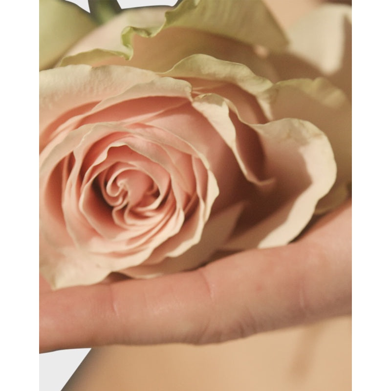 Perfume Le Point G 85ml Eau De Parfum - Mercado de Luxo - O Maior E-Commerce de Bens, Produtos e Serviços de Luxo do Brasil.