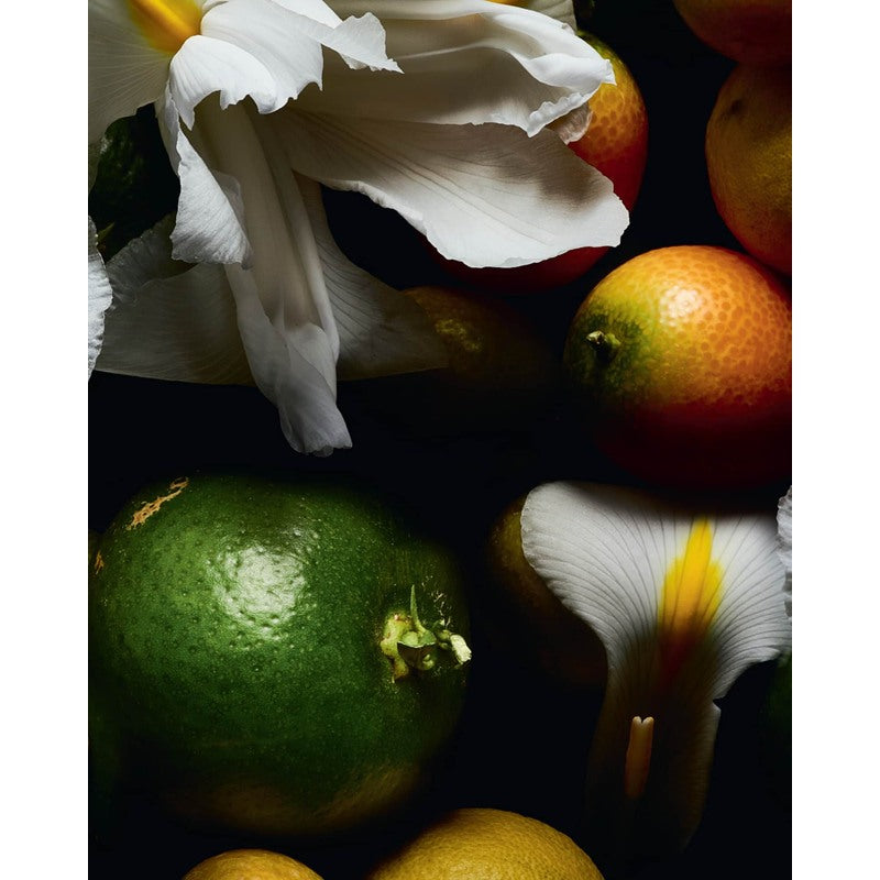 Perfume Le Vestiaire Des Parfums Trench 120ml Eau De Parfum - Mercado de Luxo - O Maior E-Commerce de Bens, Produtos e Serviços de Luxo do Brasil.