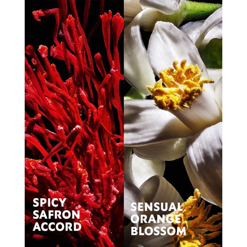 Perfume Libre Le 88ml Eau De Parfum - Mercado de Luxo - O Maior E-Commerce de Bens, Produtos e Serviços de Luxo do Brasil.