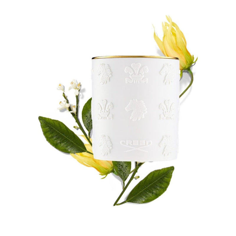 Vela Cananga Scented 220g - Mercado de Luxo - O Maior E-Commerce de Bens, Produtos e Serviços de Luxo do Brasil.