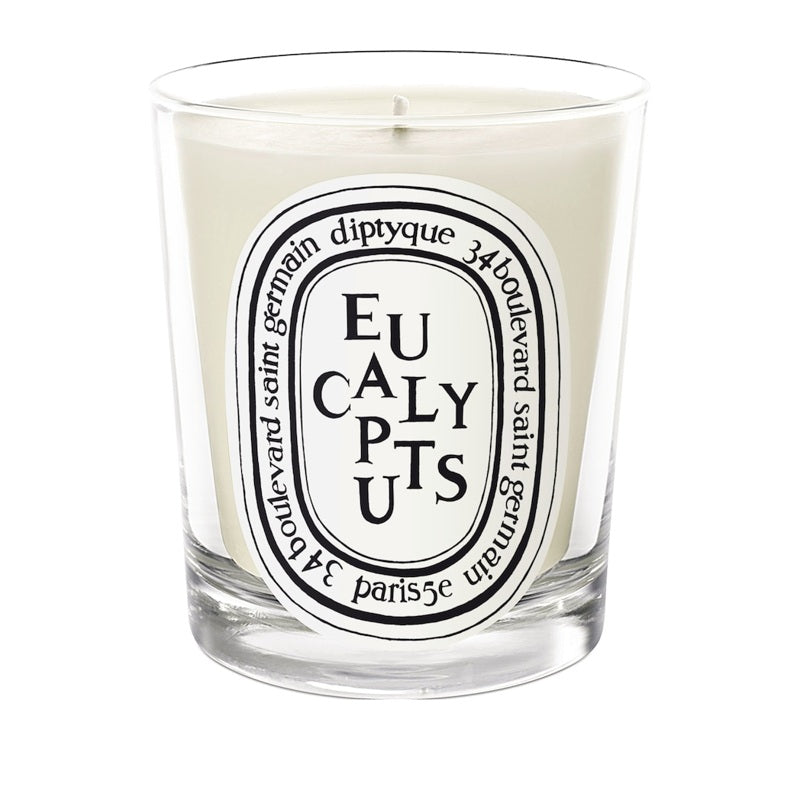 Vela Eucalyptus 190g - Mercado de Luxo - O Maior E-Commerce de Bens, Produtos e Serviços de Luxo do Brasil.
