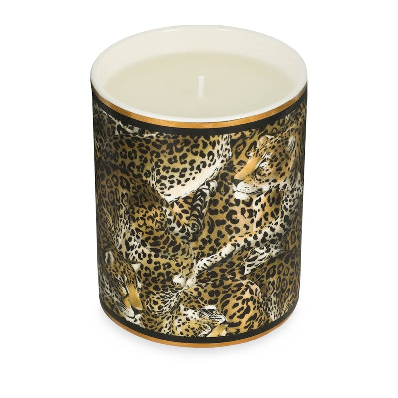 Vela Porcelain Patchouli Scented 340g - Mercado de Luxo - O Maior E-Commerce de Bens, Produtos e Serviços de Luxo do Brasil.
