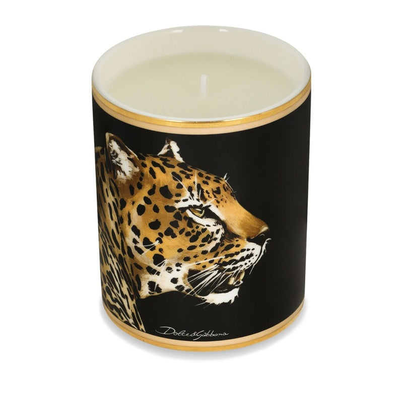 Vela Porcelain Patchouli Scented 340g - Mercado de Luxo - O Maior E-Commerce de Bens, Produtos e Serviços de Luxo do Brasil.