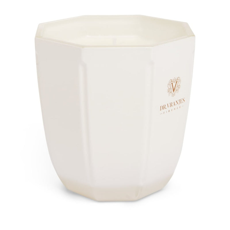 Vela Ginger Lime 200g - Mercado de Luxo - O Maior E-Commerce de Bens, Produtos e Serviços de Luxo do Brasil.