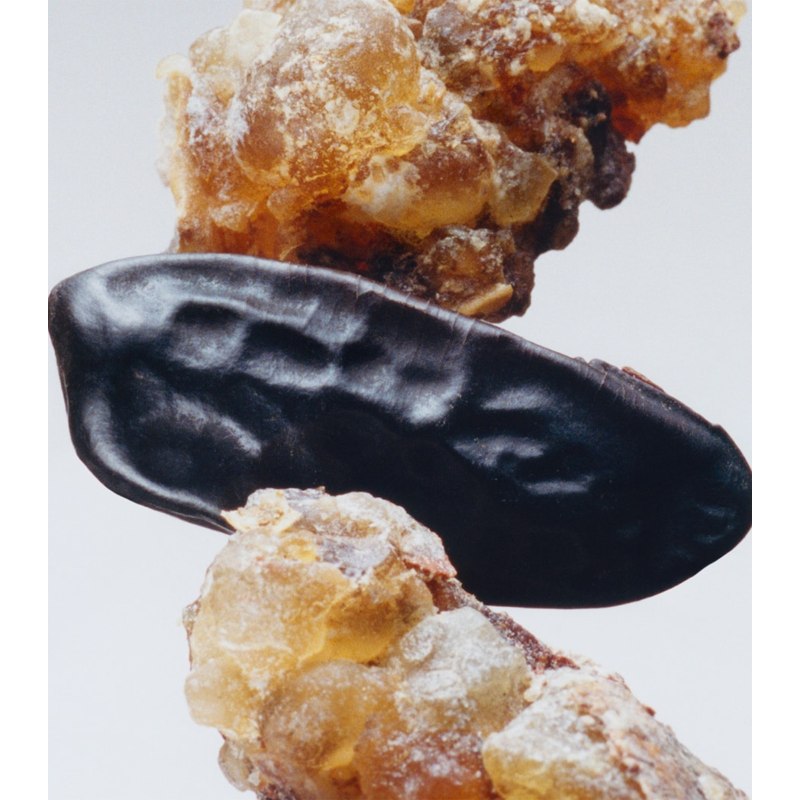 Vela Myrrh & Tonka Travel 65g - Mercado de Luxo - O Maior E-Commerce de Bens, Produtos e Serviços de Luxo do Brasil.