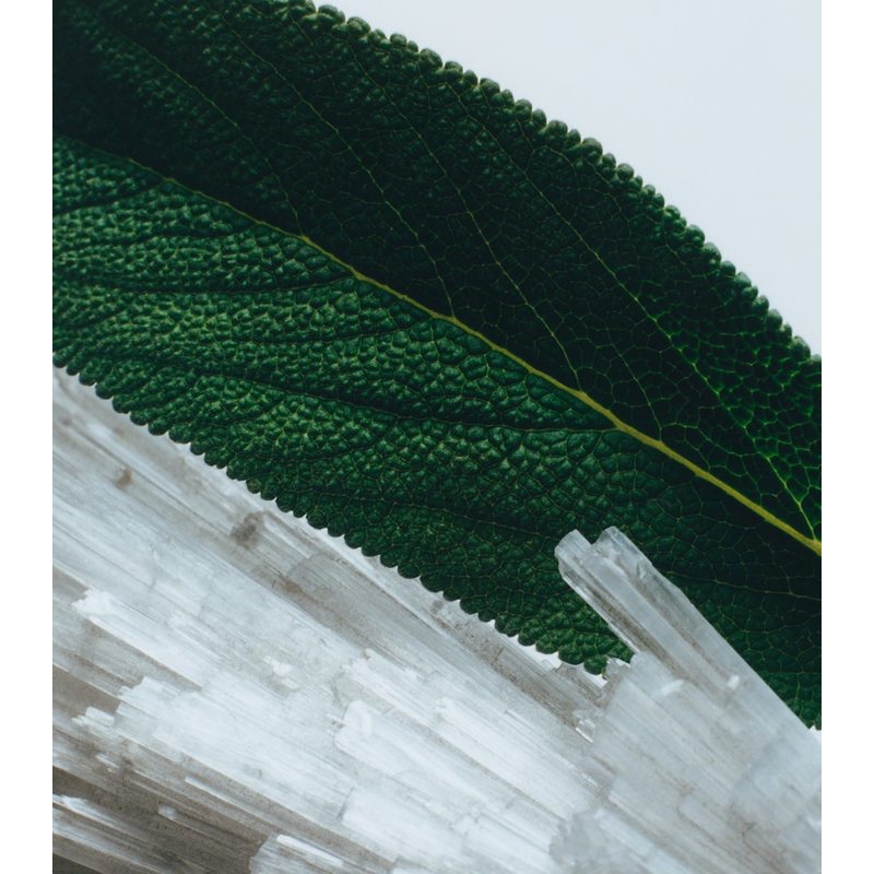 Vela Wood Sage & Sea Salt Travel 65g - Mercado de Luxo - O Maior E-Commerce de Bens, Produtos e Serviços de Luxo do Brasil.