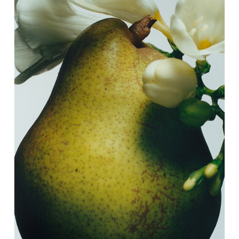 Vela English Pear & Freesia Travel 65g - Mercado de Luxo - O Maior E-Commerce de Bens, Produtos e Serviços de Luxo do Brasil.