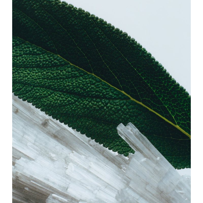 Vela Wood Sage & Sea Salt Classic 200g - Mercado de Luxo - O Maior E-Commerce de Bens, Produtos e Serviços de Luxo do Brasil.