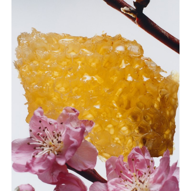 Vela Nectarine Blossom & Honey Classic 200g - Mercado de Luxo - O Maior E-Commerce de Bens, Produtos e Serviços de Luxo do Brasil.