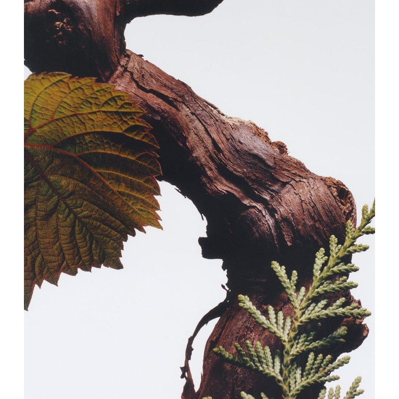 Vela Cypress & Grapevine 200g - Mercado de Luxo - O Maior E-Commerce de Bens, Produtos e Serviços de Luxo do Brasil.