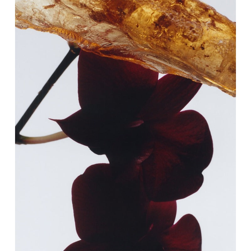 Vela Dark Amber & Ginger Lily Intense Classic 200g - Mercado de Luxo - O Maior E-Commerce de Bens, Produtos e Serviços de Luxo do Brasil.