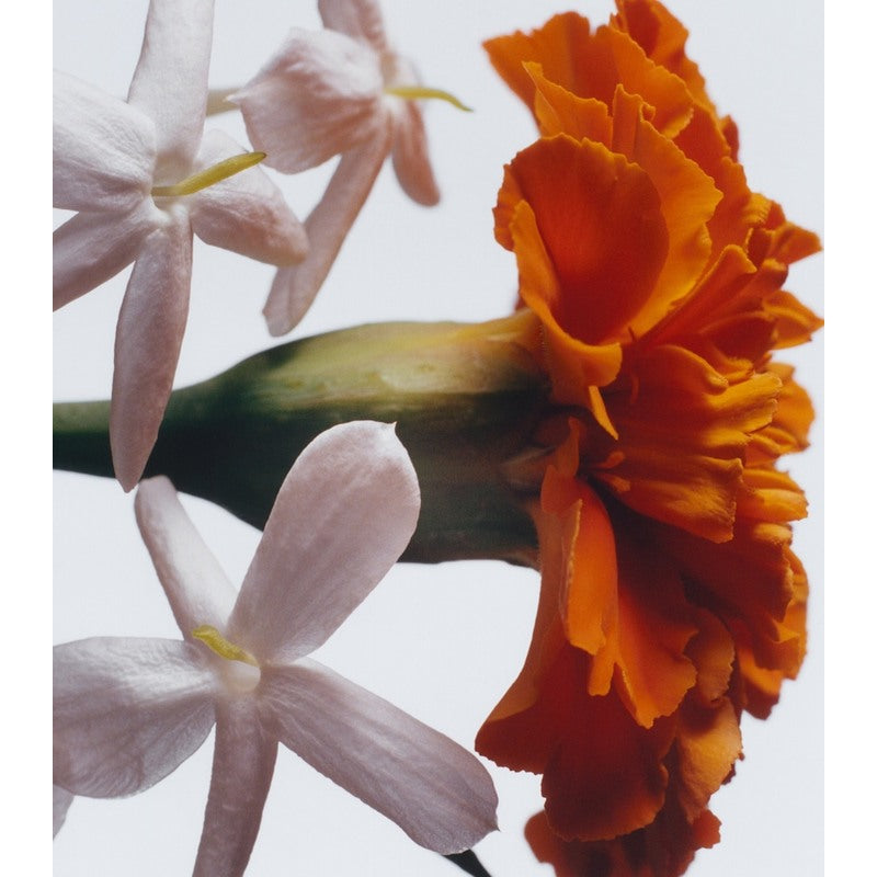 Vela Jasmine Sambac & Marigold Intense Classic 200g - Mercado de Luxo - O Maior E-Commerce de Bens, Produtos e Serviços de Luxo do Brasil.