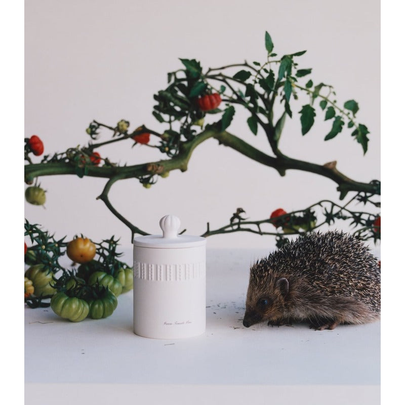 Vela Green Tomato Vine Townhouse 300g - Mercado de Luxo - O Maior E-Commerce de Bens, Produtos e Serviços de Luxo do Brasil.