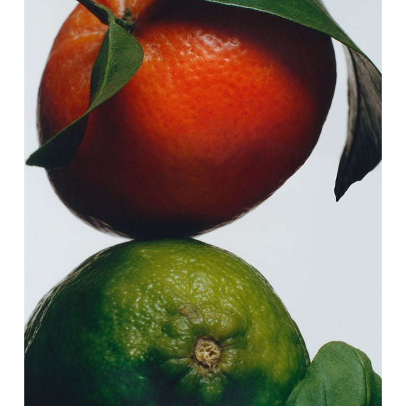 Vela Lime Basil & Mandarin Deluxe 600g - Mercado de Luxo - O Maior E-Commerce de Bens, Produtos e Serviços de Luxo do Brasil.