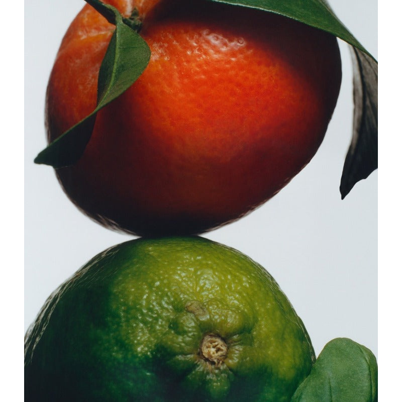 Vela Lime Basil & Mandarin Luxury 2.1kg - Mercado de Luxo - O Maior E-Commerce de Bens, Produtos e Serviços de Luxo do Brasil.